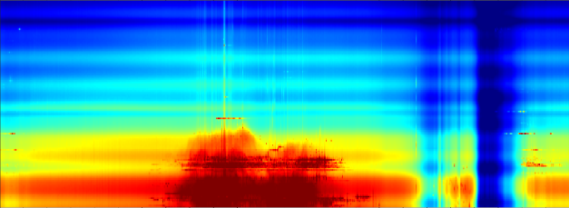 フィンランド観測